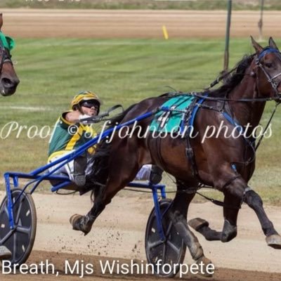 lukasharper27's profile picture. Harness Driver/Trainer