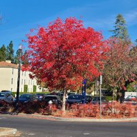 D🎗 (@readr99) 's Twitter Profile