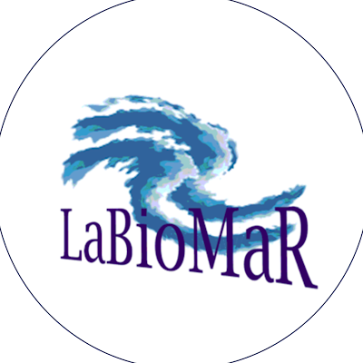 Laboratory of Marine Biology and Resources @unipa_it with research activities on the ecology of coastal habitats and effects of anthropogenic pressures.