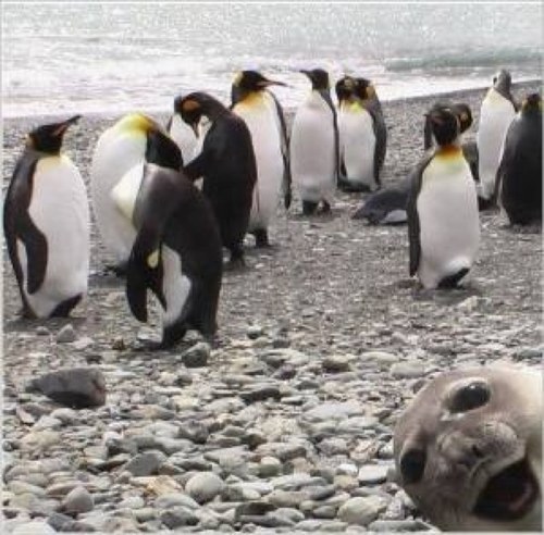 Baron_s210's profile picture. あまり更新はできないと思いますけど暇潰し程度にどうぞ〜
映画、音楽鑑賞やスポーツ、和菓子や昼寝が好きかな？オススメの映画や音楽ある人は是非教えてください＾＾