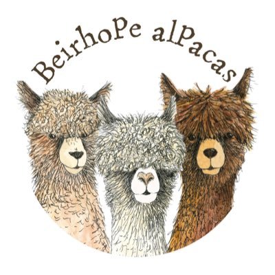 Beirhope offers a truly unique experience, from alpaca trekking in the Cheviot Hills to off grid, eco camping in the most beautiful South of Scotland location.