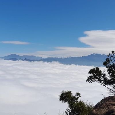 Trazocolor1's profile picture. 