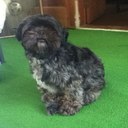 Ira Lester - @snobordude - Twitter