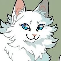 fortnitetail's profile picture. thunderclan elder / brightheart 💞 / kittypet defender / atheist / DNI tigerstar and warrior code haters (PARODY)