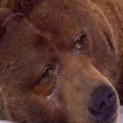 help
i need to watch lxh2 get me out of here
september… septebre… omgh
