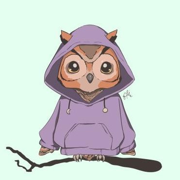 Just an owl in a piece of warm clothing