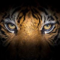 John Clay (@johnclay2020) 's Twitter Profile