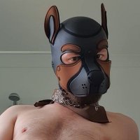 Dantethepup (@fudgepackerjj) 's Twitter Profile
