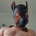 Dantethepup (@fudgepackerjj) Twitter profile photo Dantethepup (@fudgepackerjj) Twitter profile photo