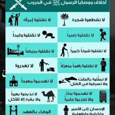 Mona81170371's profile picture. 