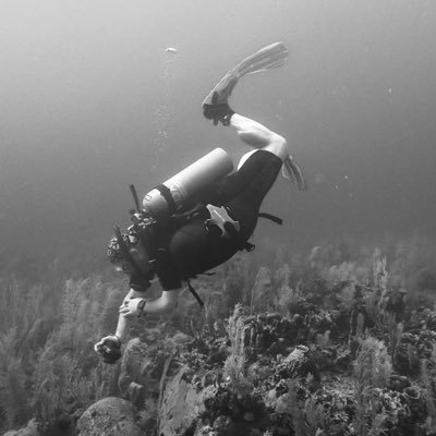 signaltubes's profile picture. Just a lost soul living in a fish bowl. I implement user life cycle management software. he/him