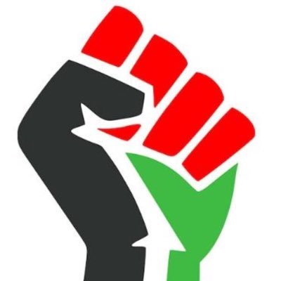 RaedZytoon's profile picture. 