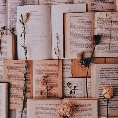 quoteliterarios's profile picture. 