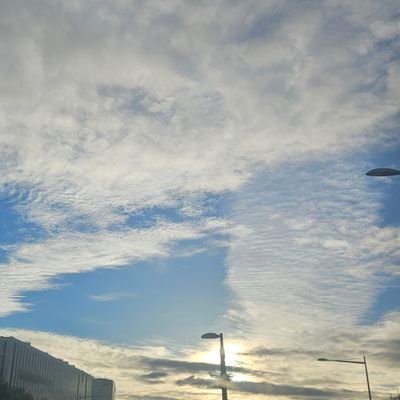 CJI0812's profile picture. 