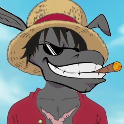 I am Dunkey D. Luffy and I will become king of the video games! Join my crew!