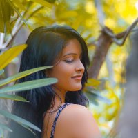 Devita Carmen (@devitac7176) 's Twitter Profile