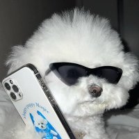 ﾓｴﾅ (@svt_crt_mo37) 's Twitter Profile Photo