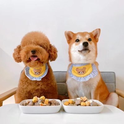 Crystal_Luo0115's profile picture. It's the possibility of having a dream come true that makes life interesting.