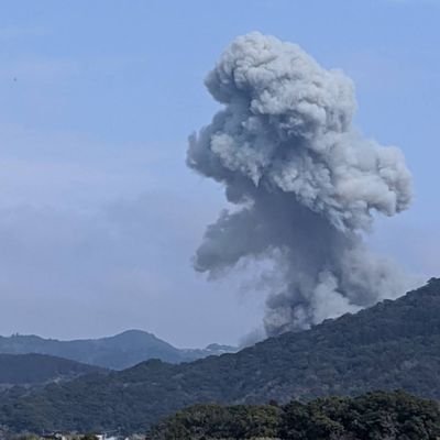 nibonibo777's profile picture. いざとなったら自力救済