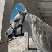 𝓂𝒶𝓇𝓎𝒶𝓂 (@memo2013_ro) 's Twitter Profile Photo 𝓂𝒶𝓇𝓎𝒶𝓂 (@memo2013_ro) 's Twitter Profile Photo