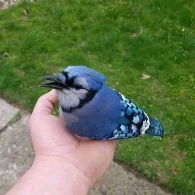 mf802514596's profile picture. Contenido +18