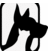 drh_luvita's profile image