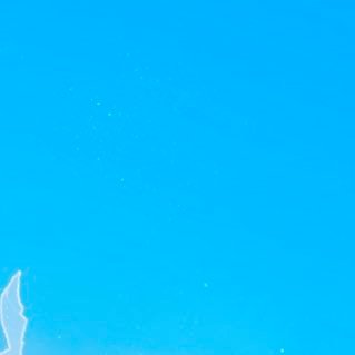 crollliy's profile picture. 20 ↑