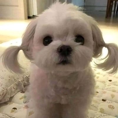 Stephen_9O's profile picture. Keep it private ✨❤️

🇮🇹