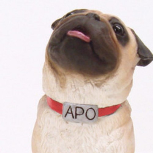 miikyam1_31's profile picture. 