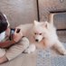 winny :3 (@passbyengineer) Twitter profile photo
