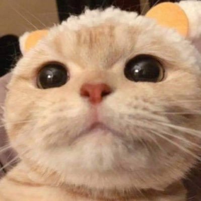 euniceleexq's profile picture. not here