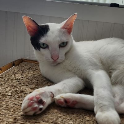 VilamPra's profile picture. 