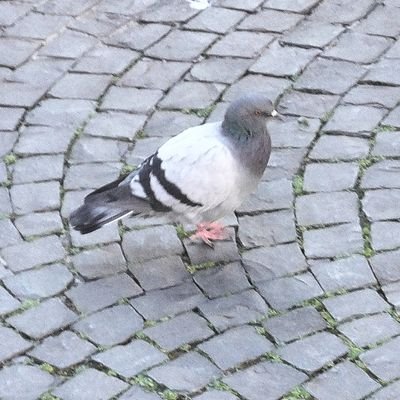 TNさんのプロフィール画像