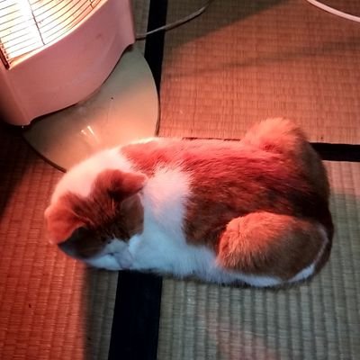 基本読専です。かなり無言イイネや無言リポストや無言フォローしますm(_ _)m。
オジサンなので納得できるものや危ういもの、センシチブなものもイイネリポストしまくりますのでソチラはご容赦をm(_ _)m
打败习近平 习近平是小熊维尼