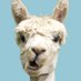 Baptistao (@nelucretu1) Twitter profile photo Baptistao (@nelucretu1) Twitter profile photo