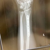 ガオガオひーちゃん (@gaogaoheechan) Twitter profile photo