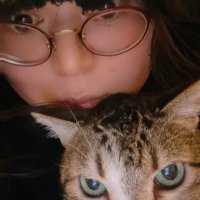 ゆきその ねこ (@yukisononeco) Twitter profile photo