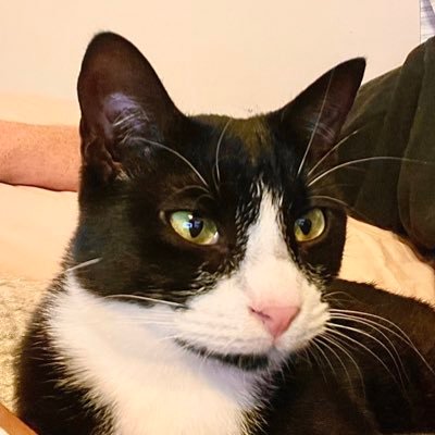 ecaepevol22's profile picture. 