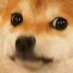 Pepega Warrior (@oraykao) Twitter profile photo Pepega Warrior (@oraykao) Twitter profile photo