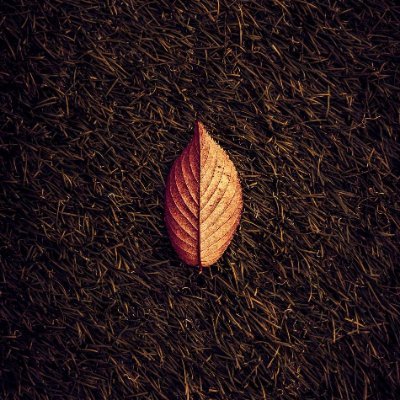 Oishy_y's profile picture. CNBLUE+Day6+Infinite