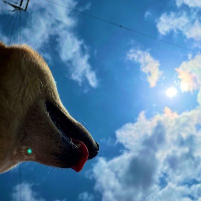 ton_nura_0's profile picture. RADWIMPS /ヨルシカ / ONE OK ROCK /BUMP OF CHICKEN 皆さん無言フォローすみません！