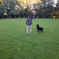 BeeHewtweet (@beehewtweet) 's Twitter Profile