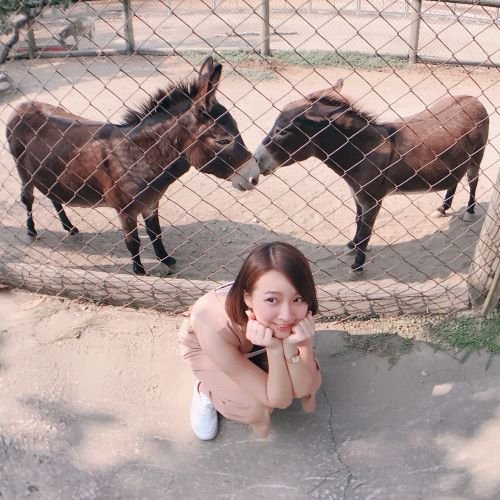 single1524668's profile picture. を信じよ、しかしその百倍も自らを信じよ。LINEに追加してください【https://t.co/BAtDxZn2no】