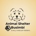 Animal shelter Busimbi (@ABusimbi96202) Twitter profile photo