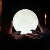 Sondra Mullins (@mullinsson54300) 's Twitter Profile