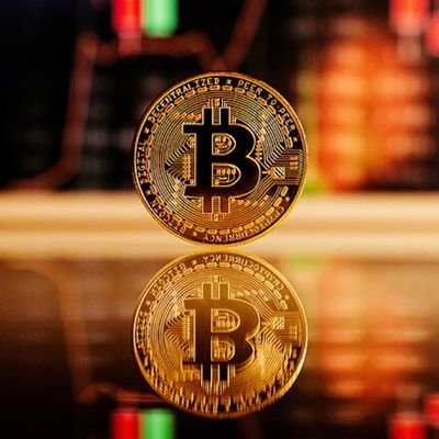 crypto930018's profile picture. 