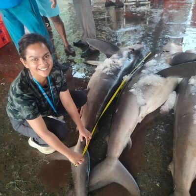 PhD Scholar @AshokaUniv
Marine Biologist
Conservation | Shark fisheries