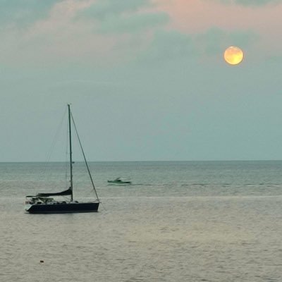 annargirou's profile picture. 