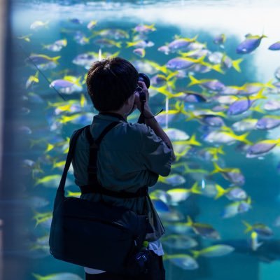 水族館フォトグラファー📷 水族館の生き物たちの美しい姿を撮影しています。#ウオ系男子