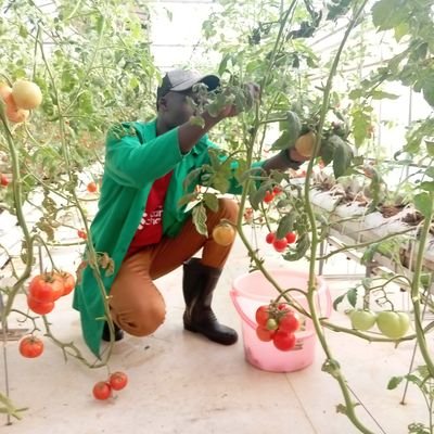 Fighting food insecurity amidst climate change.
climate smart & sustainable agriculture advocate.
Student at Busitema university uganda 
faculty of Agriculture.